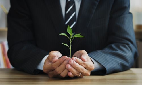 Numérique écologie en entreprise