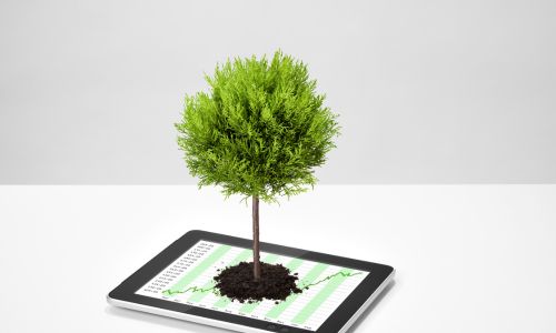 Numérique écologie en entreprise